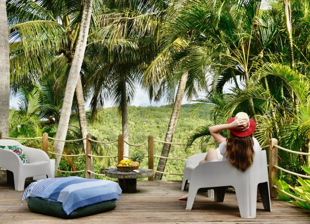 Villa Domaine Karaibes Deshaies Esterno foto