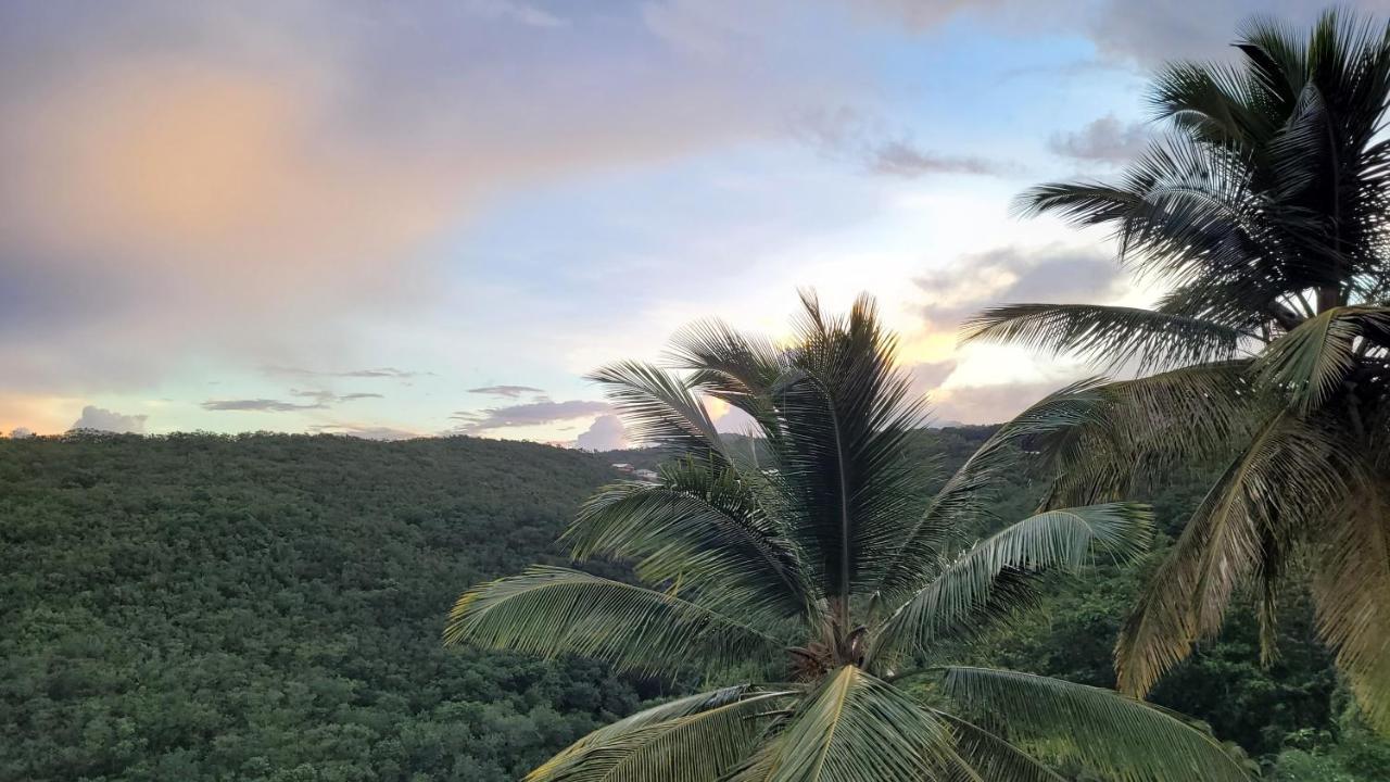Villa Domaine Karaibes Deshaies Esterno foto