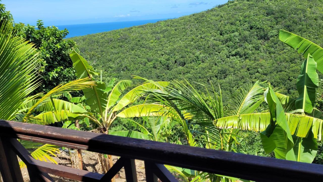 Villa Domaine Karaibes Deshaies Esterno foto
