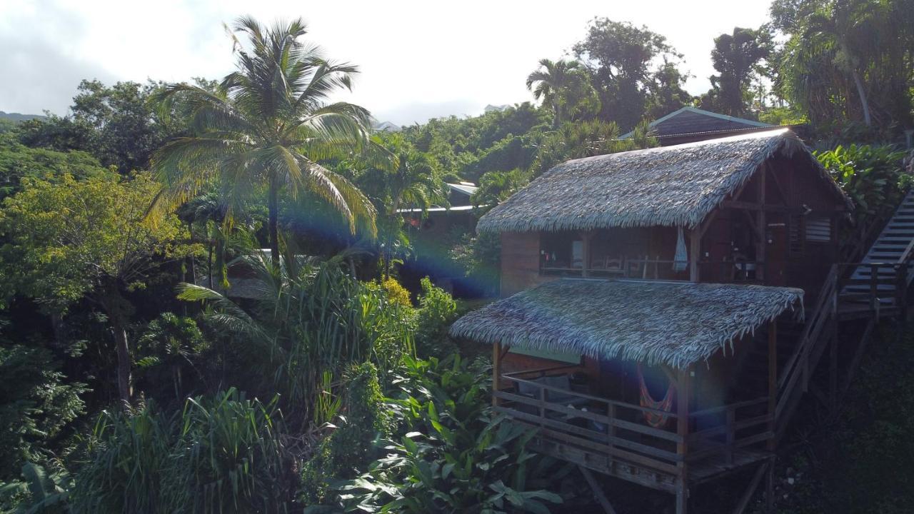 Villa Domaine Karaibes Deshaies Esterno foto