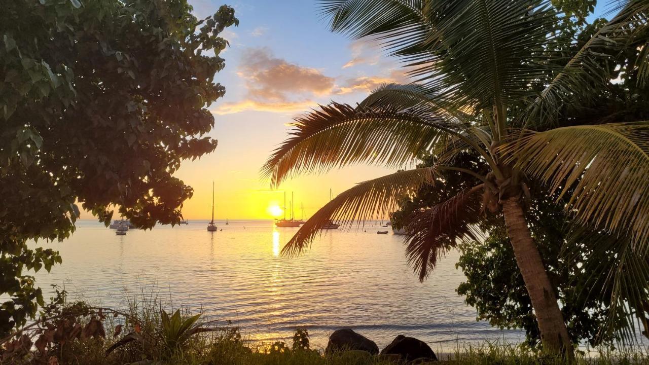 Villa Domaine Karaibes Deshaies Esterno foto