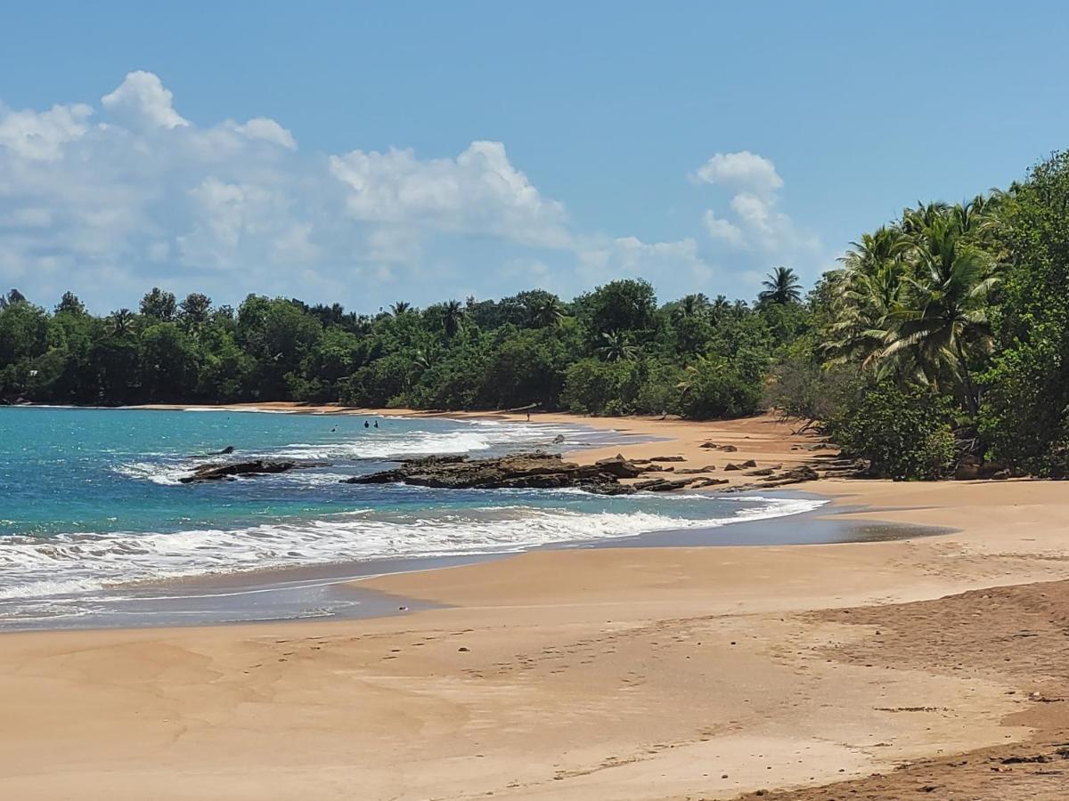 Villa Domaine Karaibes Deshaies Esterno foto